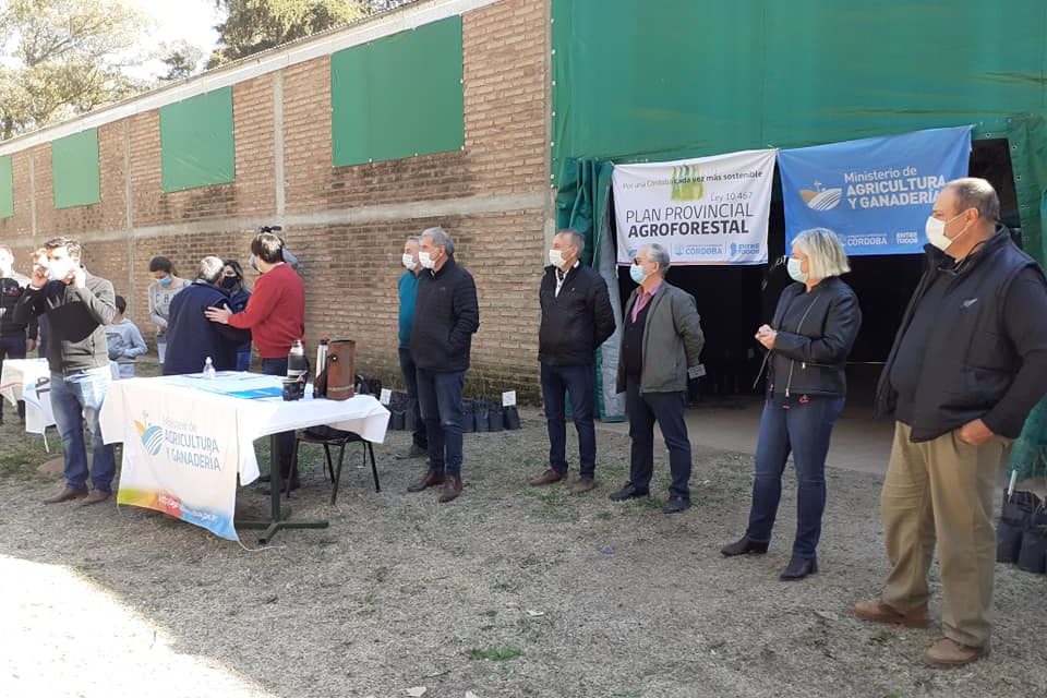 Plan de forestación para remediar campos en Laboulaye y Huinca Renancó