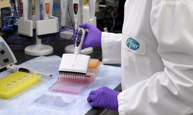 Pfizer: llegarán 580 mil dosis en septiembre y más de 19 millones desde octubre