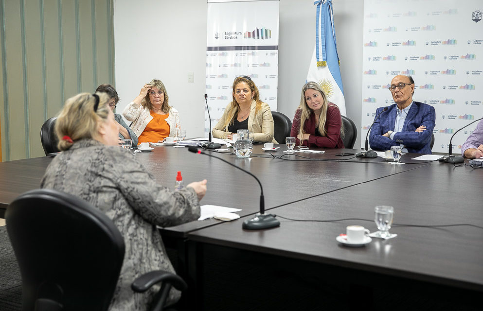 Córdoba: se realizó la Audiencia Pública para el Presupuesto 2022