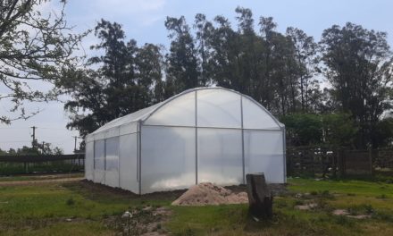 Buchardo: Nuevo invernadero para el Vivero Cruz del Sur