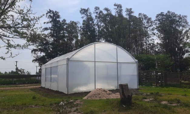 Buchardo: Nuevo invernadero para el Vivero Cruz del Sur