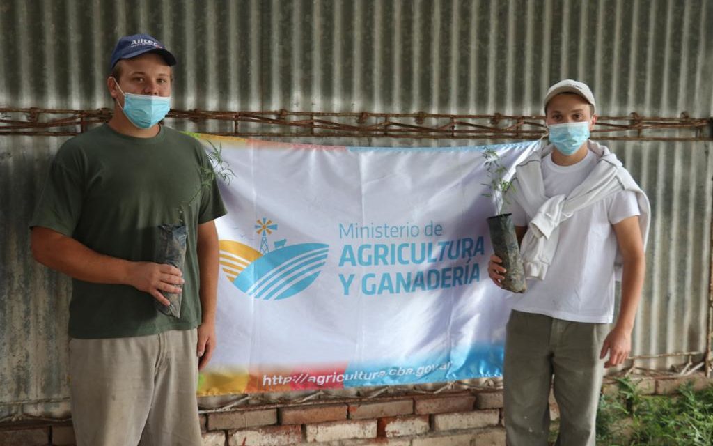 Plan Provincial Agroforestal: entregaron más de 32.000 árboles a productores