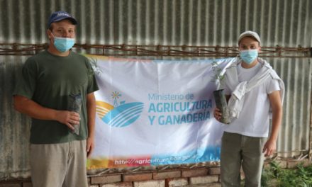 Plan Provincial Agroforestal: entregaron más de 32.000 árboles a productores