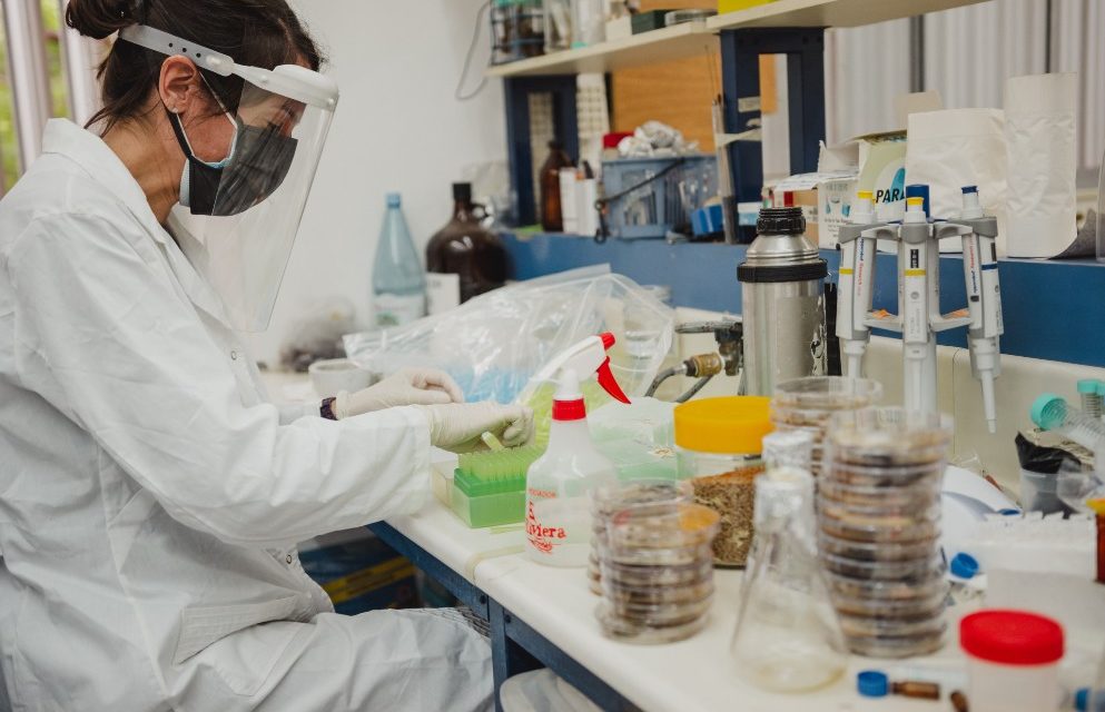 Abrieron las postulaciones para el Reconocimiento Mujeres en Ciencia 2022