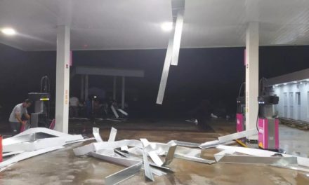 La tormenta provocó múltiples daños en la región