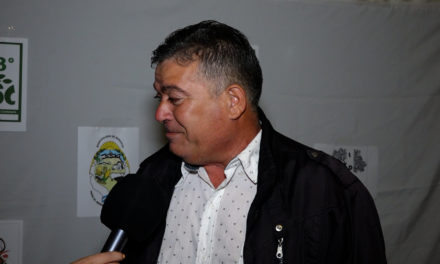 Bengolea celebró la 3º edición del Festival Provincial del Olivo Centenario