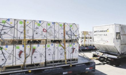 Llegaron 216 mil Pfizer pediátricas y en lo que resta de febrero arribarán 1,5 millones