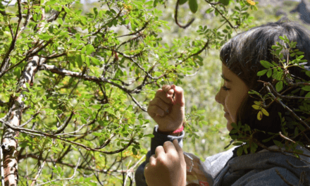 Ambiente: Córdoba recibirá casi US$ 2 millones del Fondo Verde del Clima