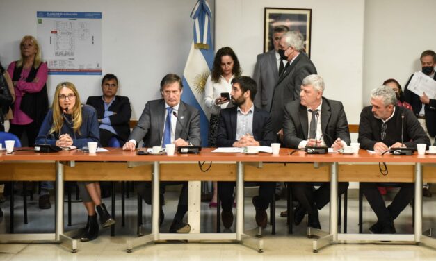 Diputados: Gabriela Brouwer de Koning será autoridad en la Comisión de Agricultura y Ganadería