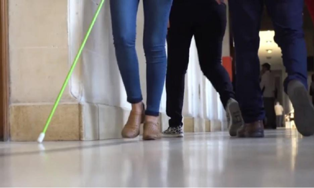 Crean el Fondo para la Inclusión de las Personas con Discapacidad