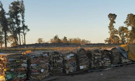 Del Campillo: se realizó la primera venta de materiales reciclados
