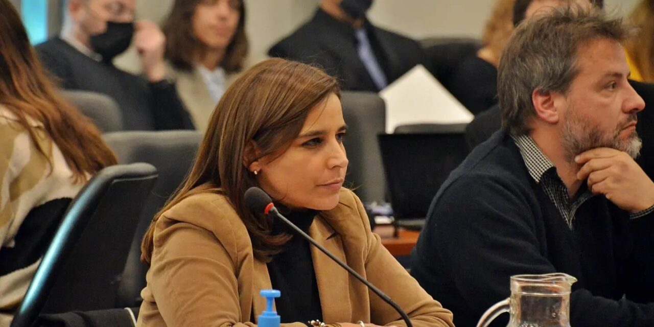 Soledad Carrizo pidió al Gobierno que informe sobre las licitaciones del gasoducto Néstor Kirchner