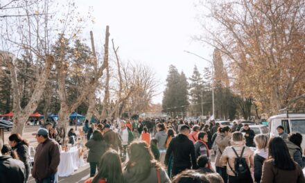 Río Cuarto: Más de 12.000 personas recorrieron la Segunda Feria en el Parque Sarmiento