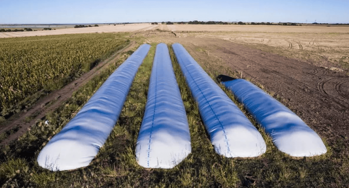 El Gobierno aprobó un «dólar soja» para que los productores liquiden la cosecha
