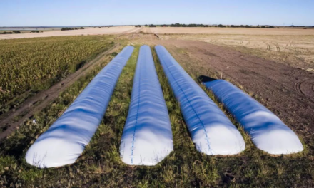 El Gobierno aprobó un «dólar soja» para que los productores liquiden la cosecha