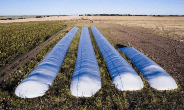 El Gobierno aprobó un «dólar soja» para que los productores liquiden la cosecha