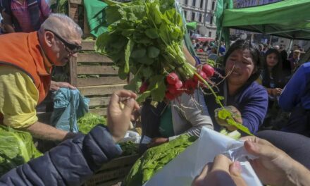 Con marcha y «feriazo» frente al Congreso, UTEP reclama por leyes agrícolas
