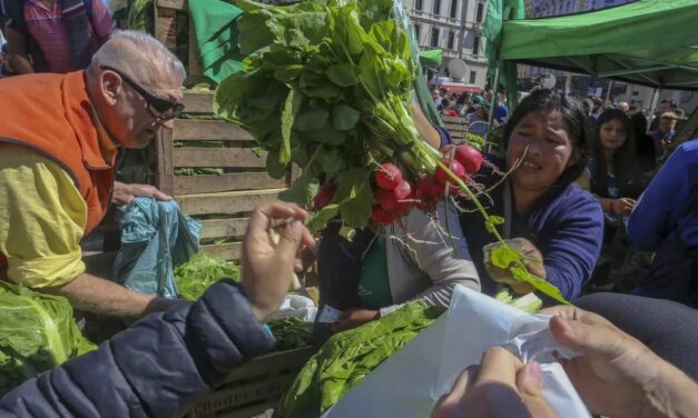 Con marcha y «feriazo» frente al Congreso, UTEP reclama por leyes agrícolas