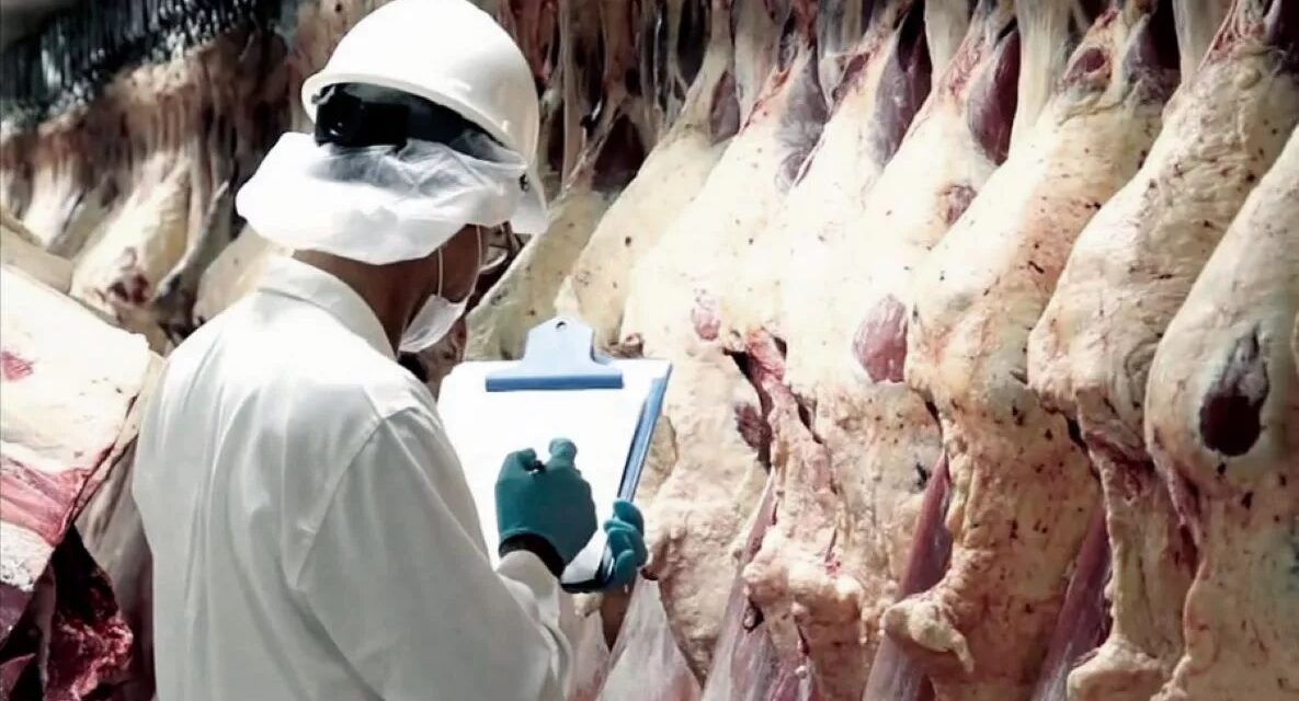 Las exportaciones de carne vacuna cerraron el primer semestre con récord en volumen y valor