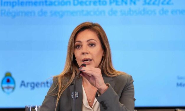 Segmentación: Royón aseguró que busca generar «tarifas más justas»