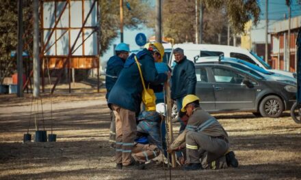 La Municipalidad y Fábrica Militar Río Tercero realizan forestación en la ciudad