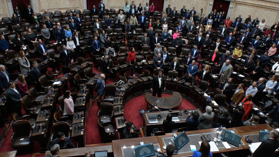 Diputados votó por unanimidad un repudio al atentado contra la Vicepresidenta