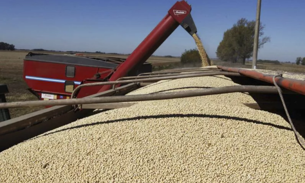 En los últimos cinco años las exportaciones del sector cooperativo crecieron 167%