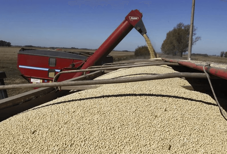 En los últimos cinco años las exportaciones del sector cooperativo crecieron 167%
