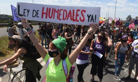 Diputados debate la ley de humedales y organizaciones reclamarán en el Congreso