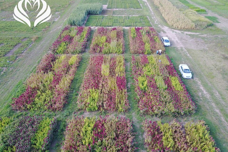 La UNRC y el INTA harán un ensayo sobre transición hacia la producción agroecológica
