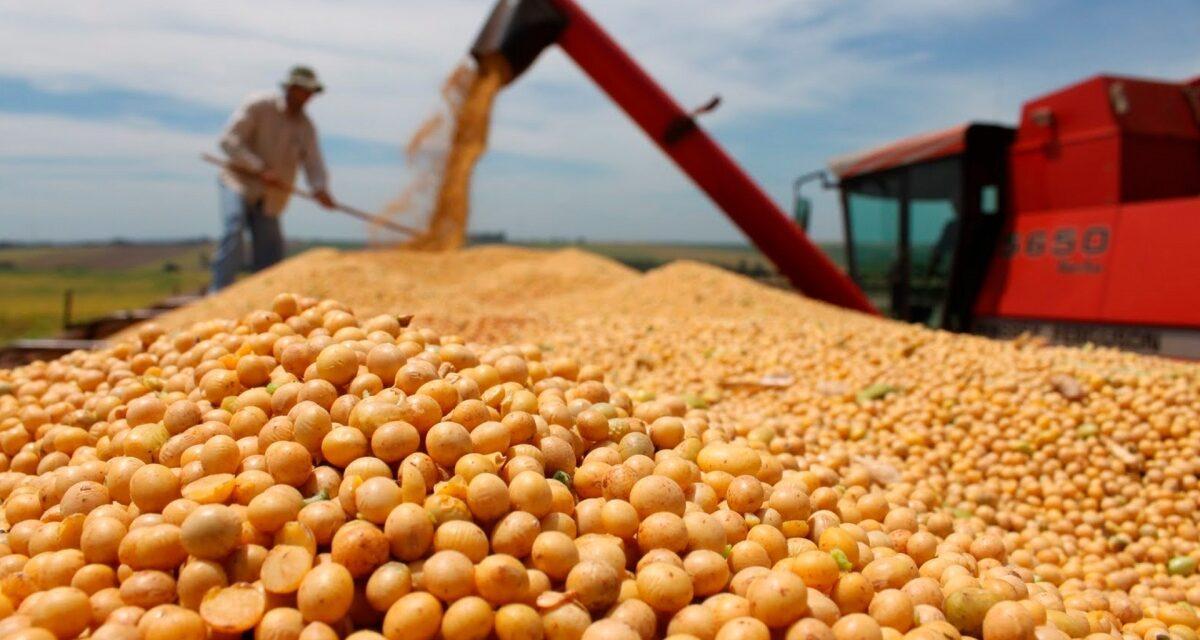 Pequeños y medianos productores que no entraron al «dólar soja» recibirán una compensación