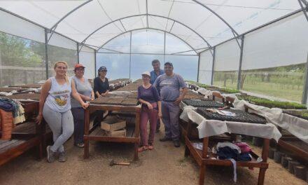 El Vivero Cruz del Sur de Buchardo continúa con su producción