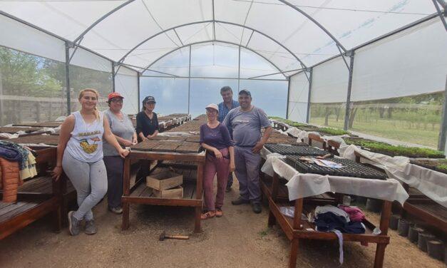 El Vivero Cruz del Sur de Buchardo continúa con su producción