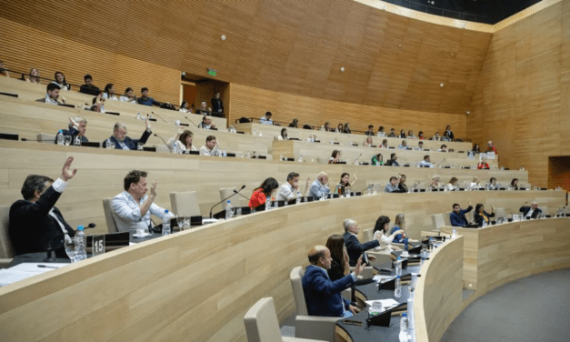 Unicameral: en la última sesión del año no se trató la «re-reelección»