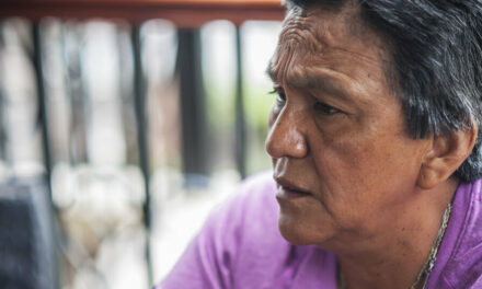 Indulto a Milagro Sala: «No sólo es legal, sino necesario»