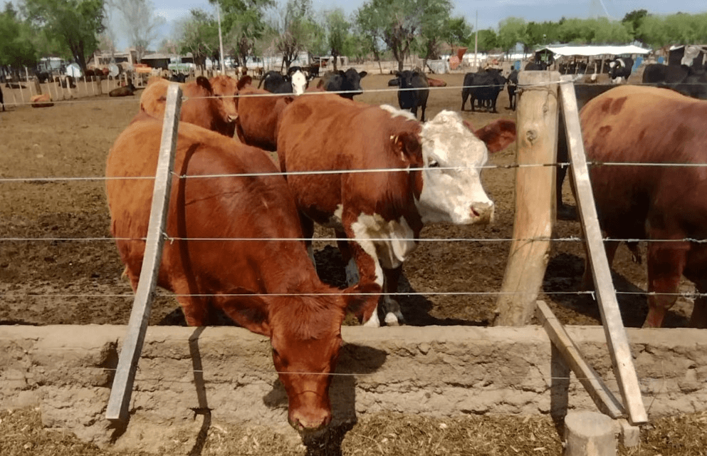 En 2023 los productores no pagarán tasas por trámites agropecuarios