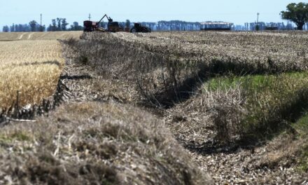 Casi el 55% del territorio nacional se encuentra bajo condición de sequía