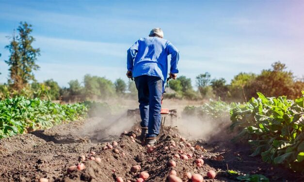 Oficializan bono extraordinario de $ 50.000 para trabajadores rurales