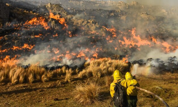 La Provincia recibió más de $1.000 millones para prevenir y controlar incendios