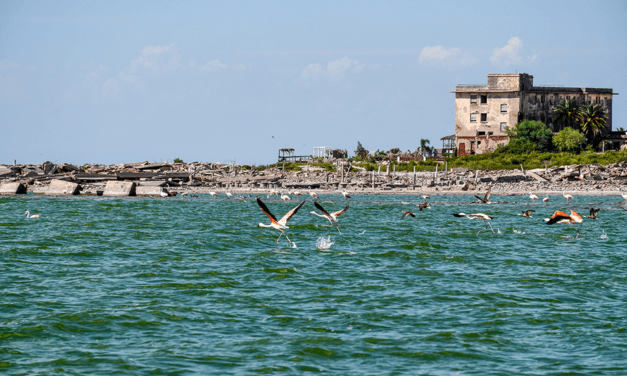 Elaboran planes de manejo para las Reservas La Felipa y Mar Chiquita