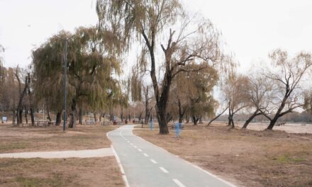 Limpieza de las costas del río: ya se retiraron 10 mil toneladas de sedimentos