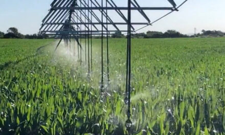 Ambiente entregó $15 millones para mejorar la gestión de residuos en granja porcina