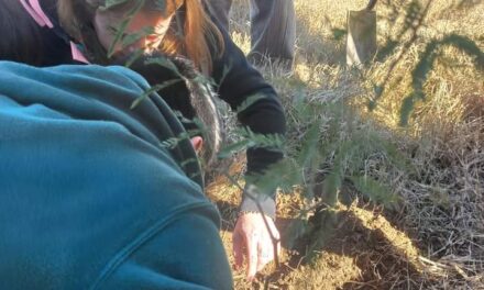 Villa Huidobro: plantaron un algarrobo en el marco del proyecto «planta un árbol planta futuro»