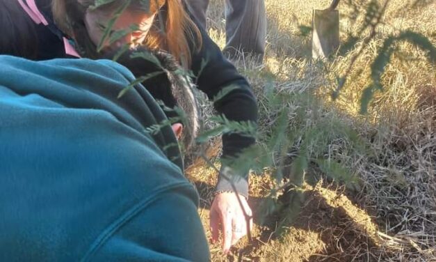 Villa Huidobro: plantaron un algarrobo en el marco del proyecto «planta un árbol planta futuro»