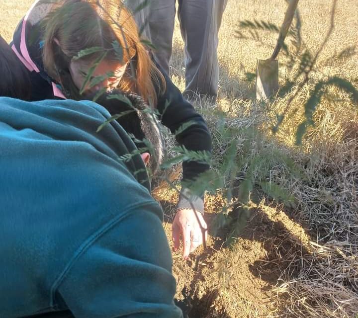 Villa Huidobro: plantaron un algarrobo en el marco del proyecto «planta un árbol planta futuro»