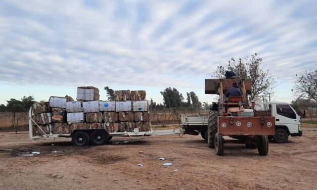 Adelia María: en junio se reciclaron más de 9 mil kilos de residuos