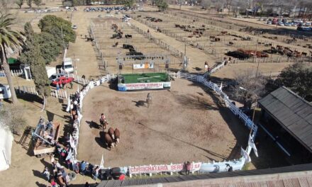 Laboulaye: se realizó una peña ovina de cara a la próxima Expo Rural