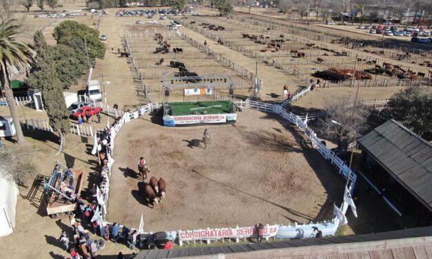 Laboulaye: se realizó una peña ovina de cara a la próxima Expo Rural
