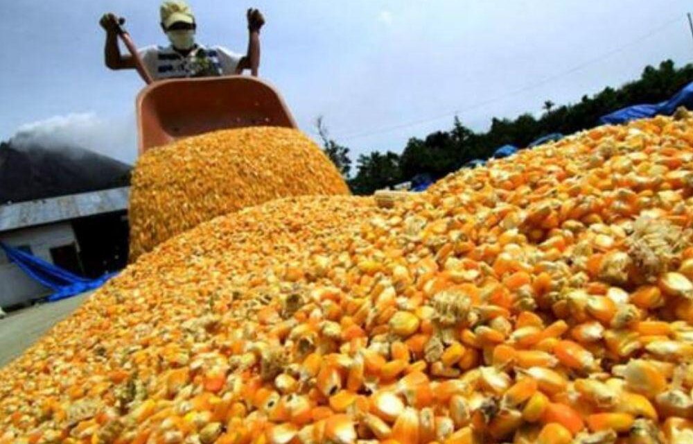 Bahillo dijo que podría «haber definiciones» sobre política cambiaria para agro