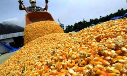 Bahillo dijo que podría «haber definiciones» sobre política cambiaria para agro